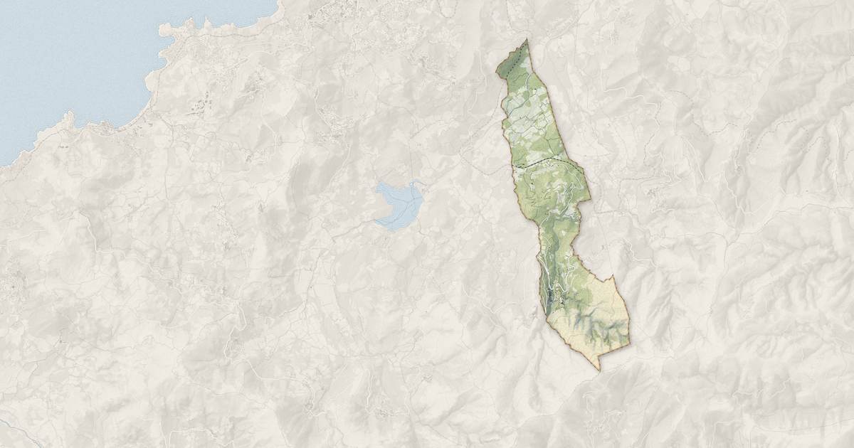 Portrait cartographique de Ville-di-Paraso : relief, eau, forêts, bâti et voies, calculés à partir des données de l'IGN