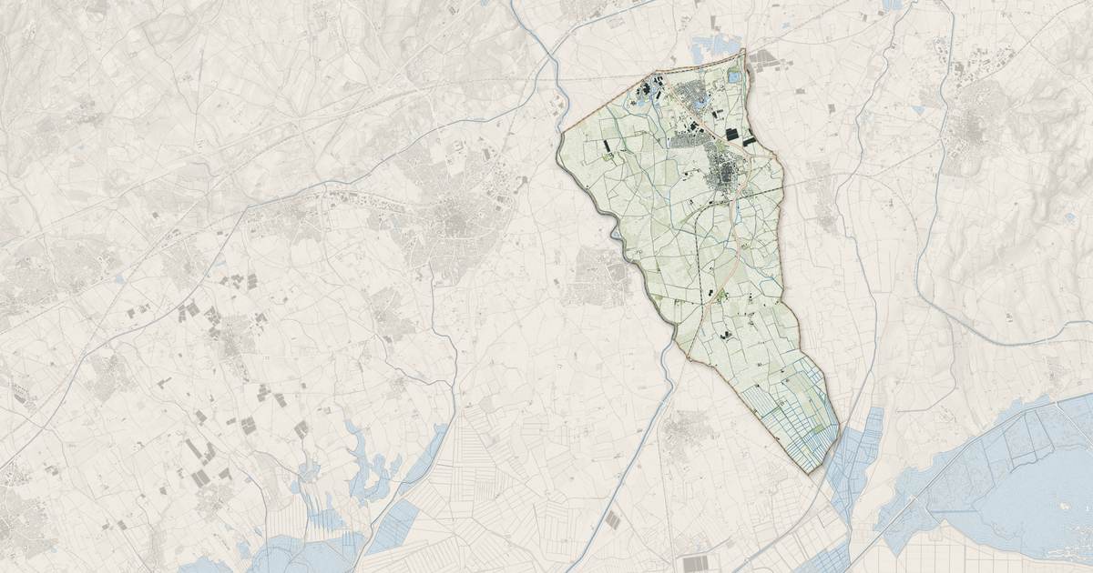 Portrait cartographique de Aimargues : relief, eau, forêts, bâti et voies, calculés à partir des données de l'IGN