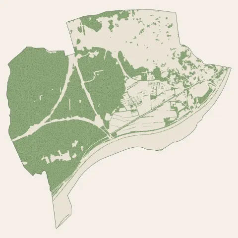 Les Angles : bois, forêts et landes