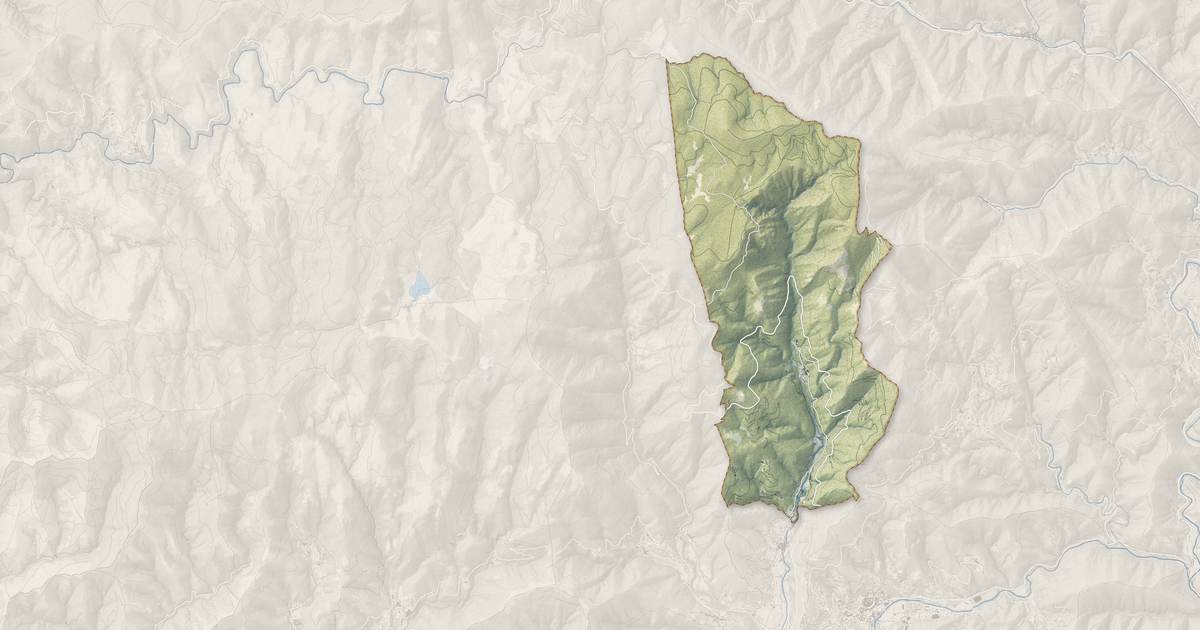 Portrait cartographique de Arphy : relief, eau, forêts, bâti et voies, calculés à partir des données de l'IGN