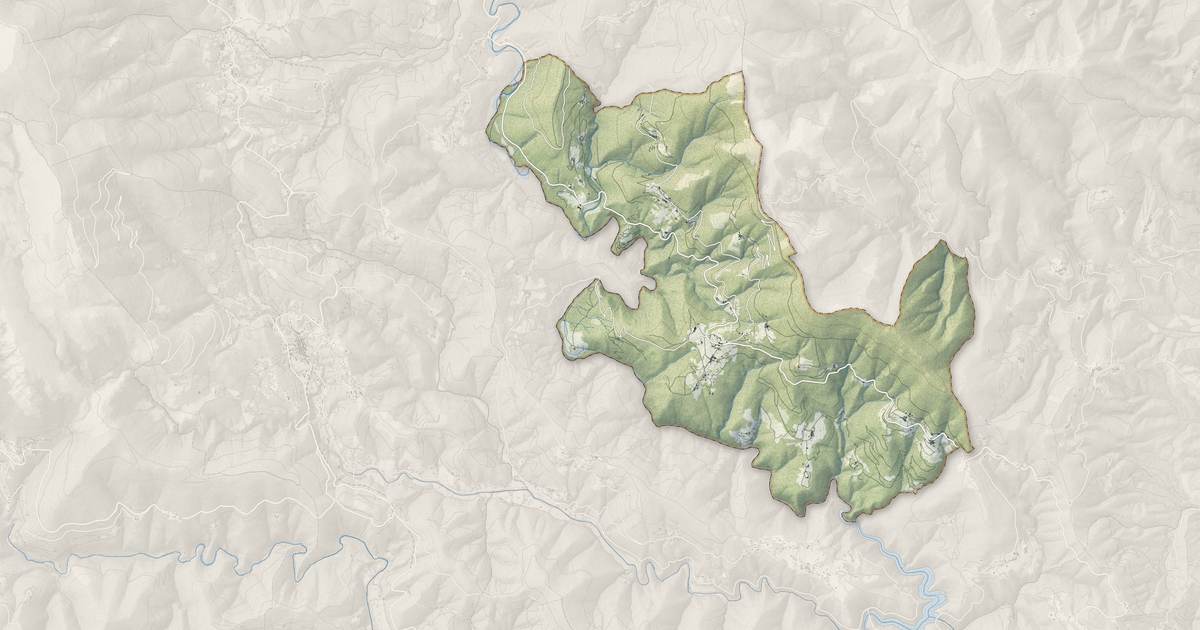 Portrait cartographique de Aujac : relief, eau, forêts, bâti et voies, calculés à partir des données de l'IGN