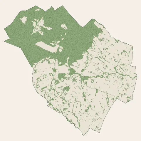 Bagard : bois, forêts et landes
