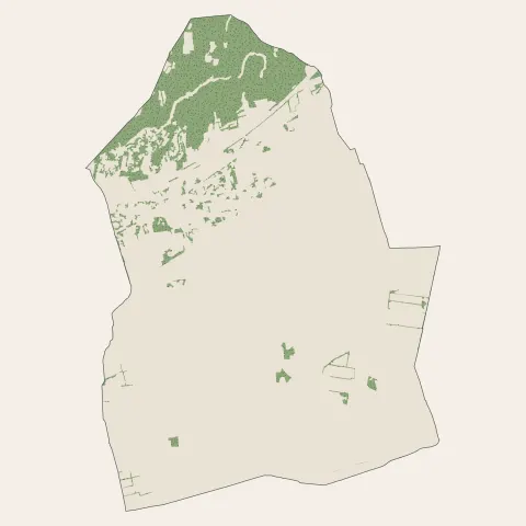 Bezouce : bois, forêts et landes