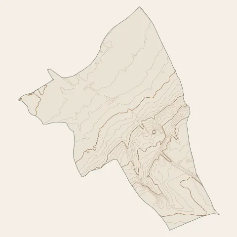 Caissargues : courbes de niveau