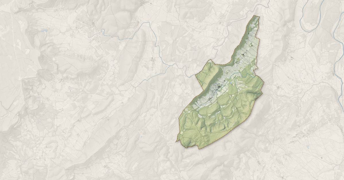 Portrait cartographique de Carnas : relief, eau, forêts, bâti et voies, calculés à partir des données de l'IGN