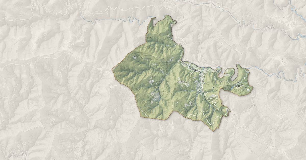 Portrait cartographique de Chamborigaud : relief, eau, forêts, bâti et voies, calculés à partir des données de l'IGN
