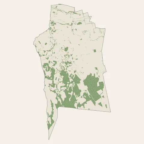 Générac : bois, forêts et landes