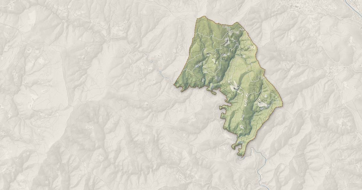 Portrait cartographique de Lamelouze : relief, eau, forêts, bâti et voies, calculés à partir des données de l'IGN