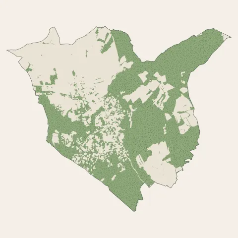 Langlade : bois, forêts et landes