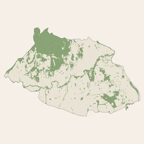 Laudun-l'Ardoise : bois, forêts et landes