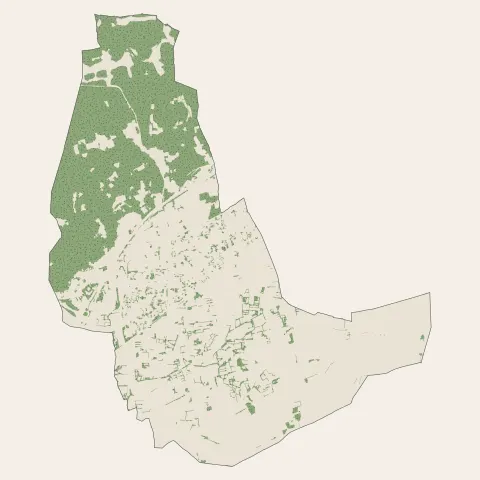Marguerittes : bois, forêts et landes