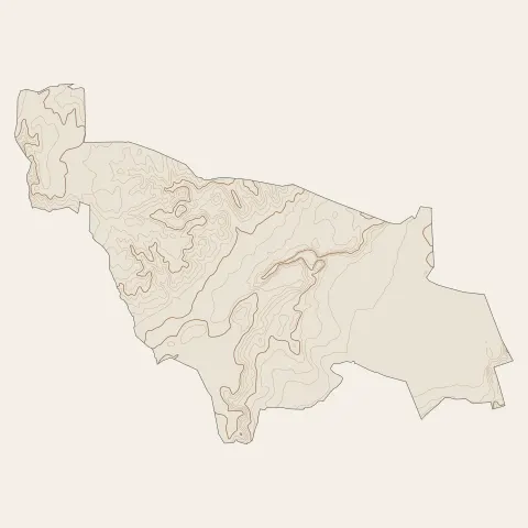Rochefort-du-Gard : courbes de niveau