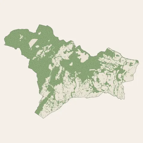 Rousson : bois, forêts et landes