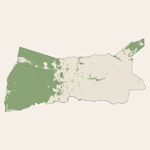 Saint-Geniès-de-Malgoirès : bois, forêts et landes