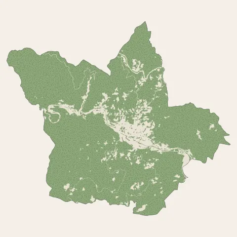 Saint-Jean-du-Gard : bois, forêts et landes