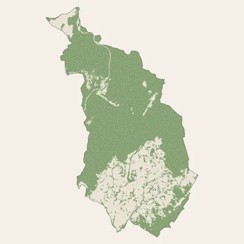 Saint-Julien-les-Rosiers : bois, forêts et landes