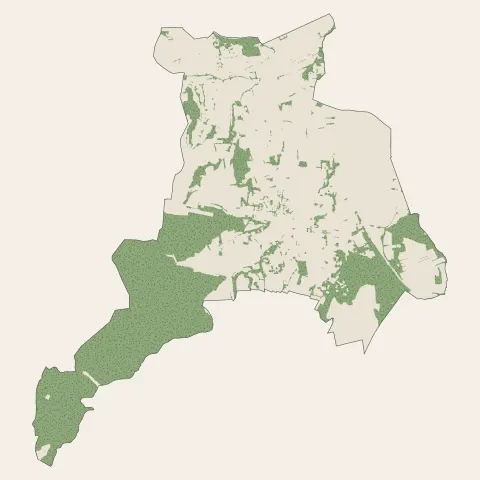 Saint-Laurent-des-Arbres : bois, forêts et landes