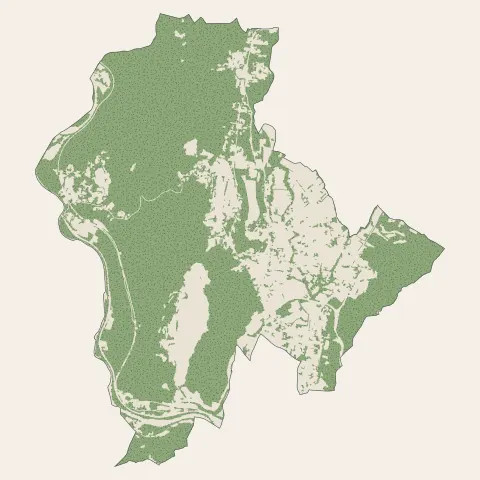 Saint-Martin-de-Valgalgues : bois, forêts et landes