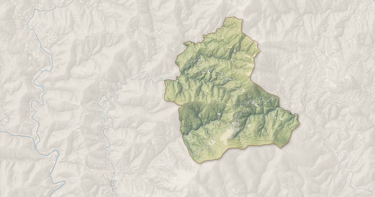 Portrait cartographique de Saint-Roman-de-Codières : relief, eau, forêts, bâti et voies, calculés à partir des données de l'IGN