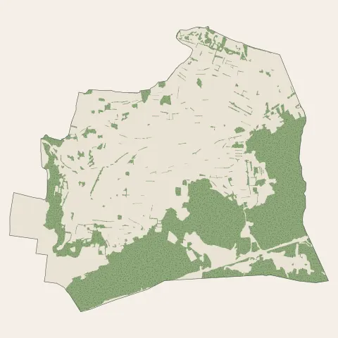 Saze : bois, forêts et landes