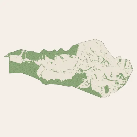 Tavel : bois, forêts et landes