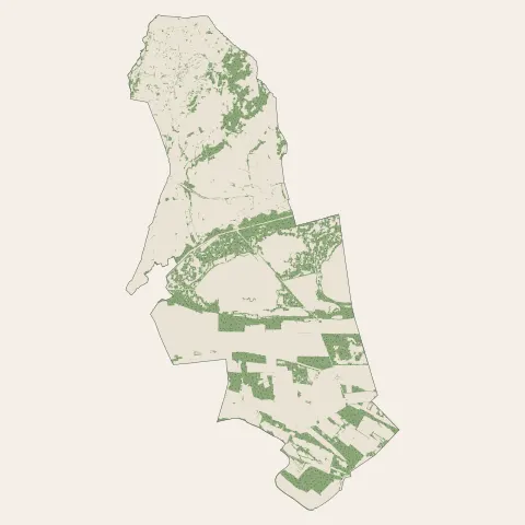 Vauvert : bois, forêts et landes
