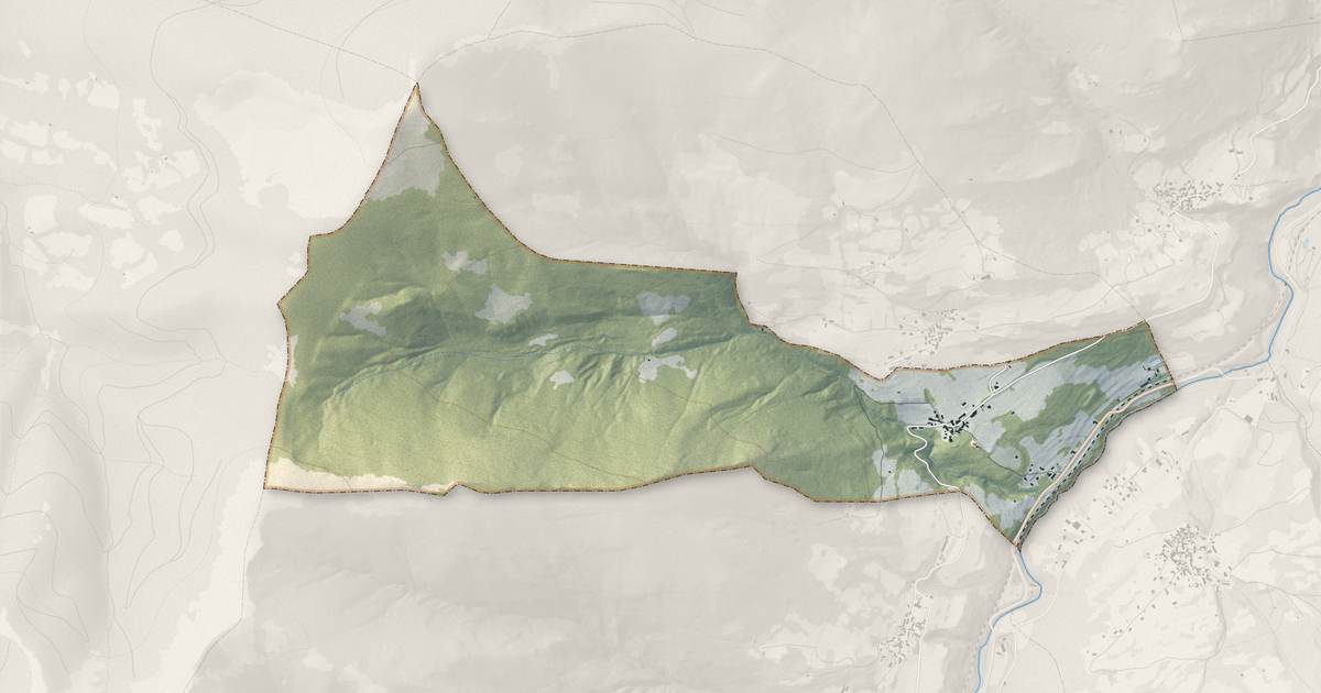 Portrait cartographique de Bachos : relief, eau, forêts, bâti et voies, calculés à partir des données de l'IGN