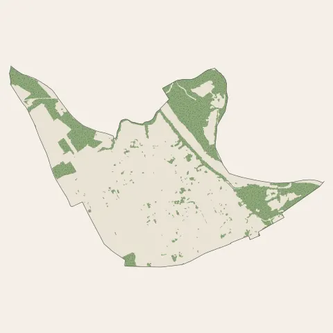 Beauzelle : bois, forêts et landes