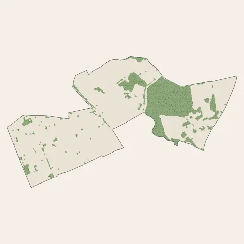 Fonbeauzard : bois, forêts et landes