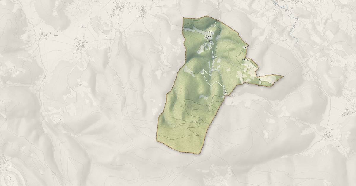 Portrait cartographique de Francazal : relief, eau, forêts, bâti et voies, calculés à partir des données de l'IGN