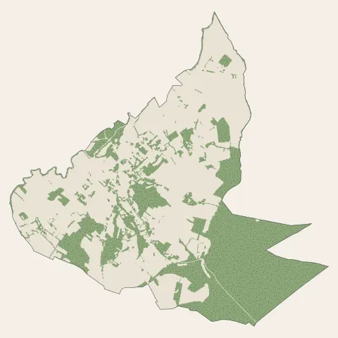 Lévignac : bois, forêts et landes