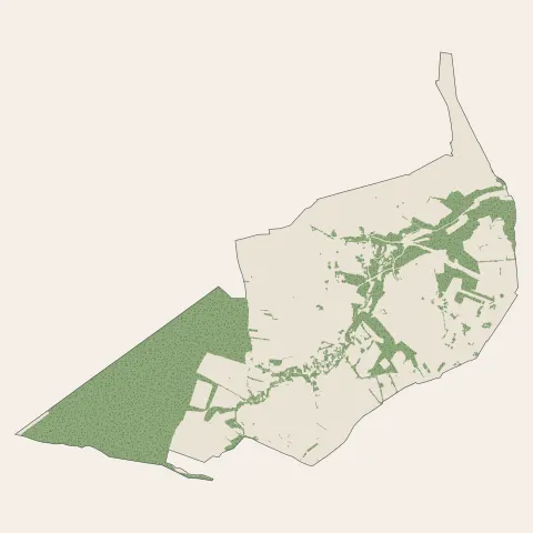 Mondonville : bois, forêts et landes