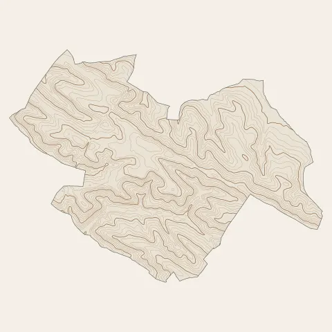 Montastruc-la-Conseillère : courbes de niveau