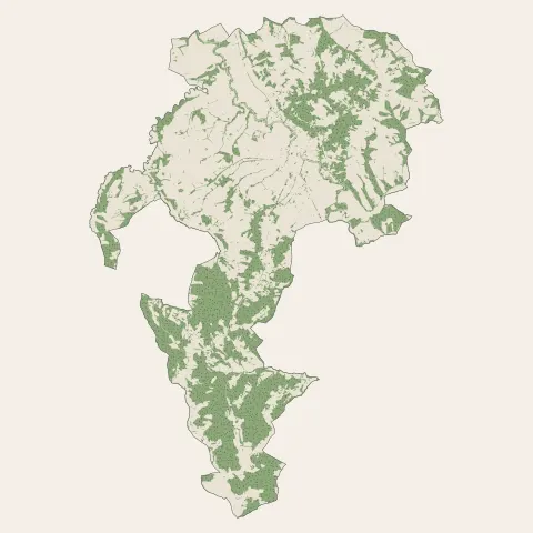 Montesquieu-Volvestre : bois, forêts et landes