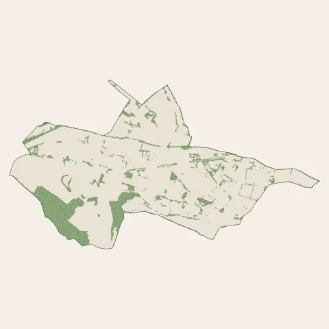 Montrabé : bois, forêts et landes