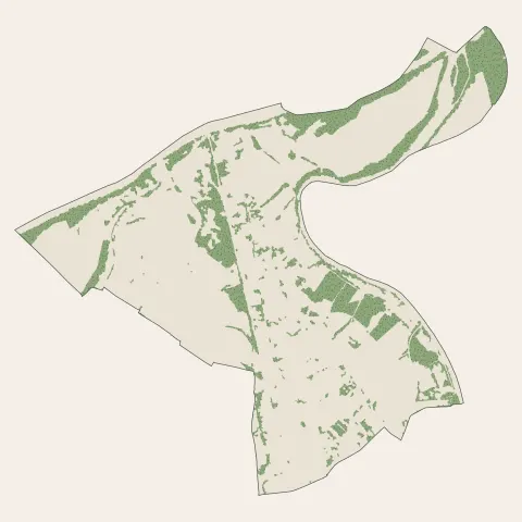 Pinsaguel : bois, forêts et landes
