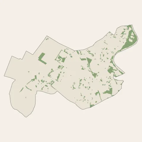 Pins-Justaret : bois, forêts et landes