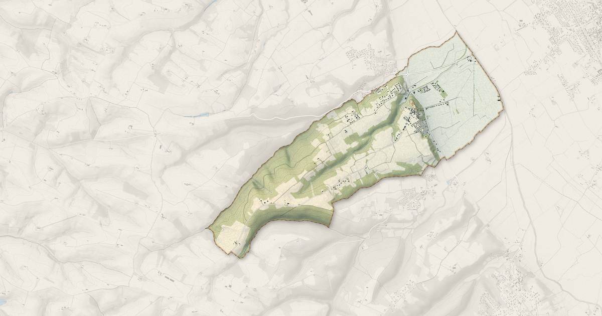 Portrait cartographique de Puydaniel : relief, eau, forêts, bâti et voies, calculés à partir des données de l'IGN