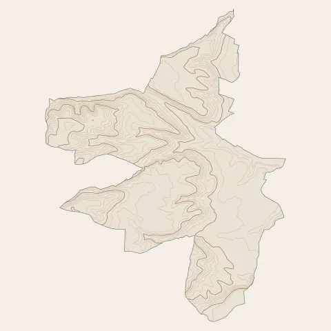 Rieumes : courbes de niveau