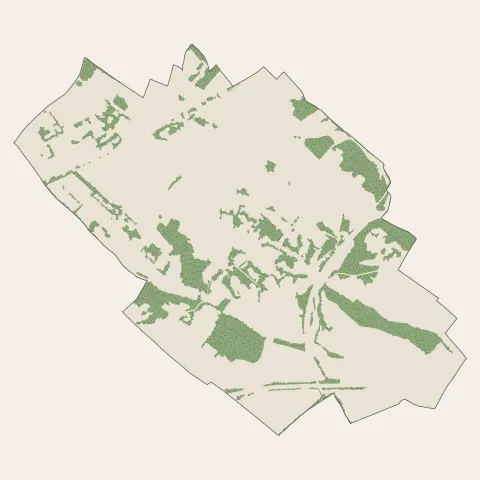 Rouffiac-Tolosan : bois, forêts et landes