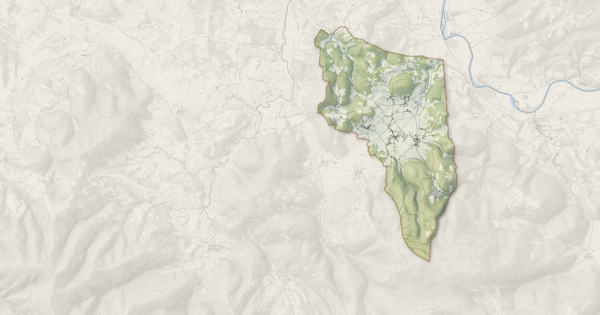 Portrait cartographique de Saleich : relief, eau, forêts, bâti et voies, calculés à partir des données de l'IGN
