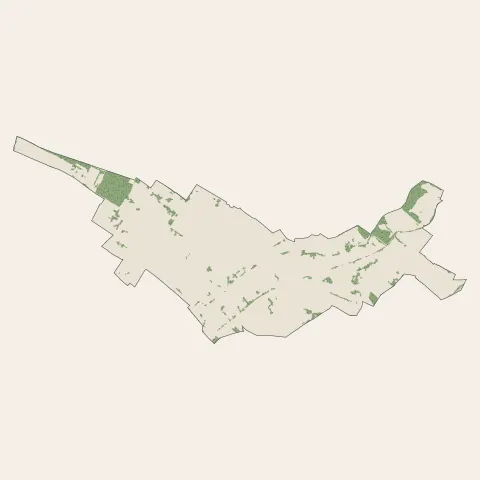 Villeneuve-Tolosane : bois, forêts et landes