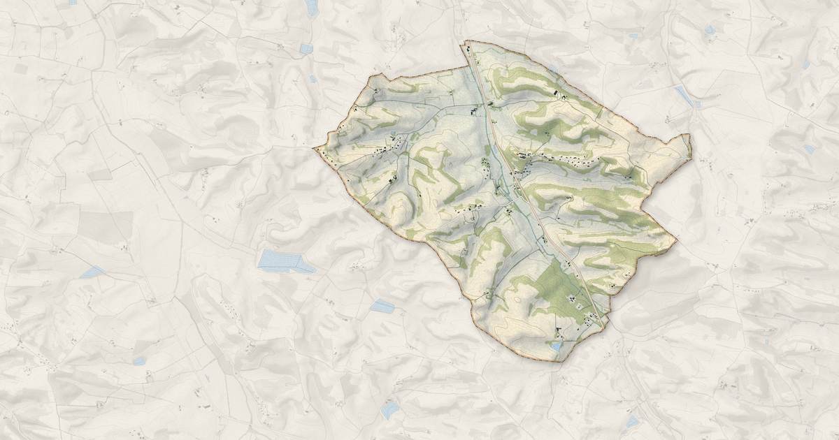 Portrait cartographique de Saint-Lary : relief, eau, forêts, bâti et voies, calculés à partir des données de l'IGN