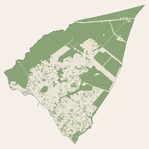Andernos-les-Bains : bois, forêts et landes