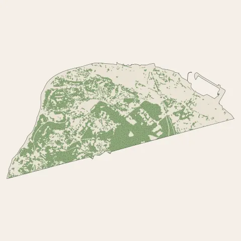 Arcachon : bois, forêts et landes
