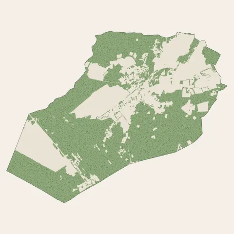 Arsac : bois, forêts et landes