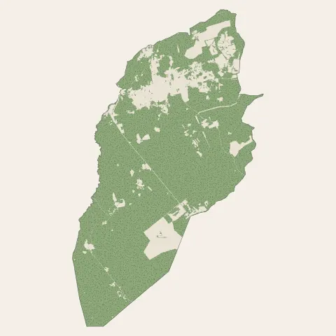 Avensan : bois, forêts et landes