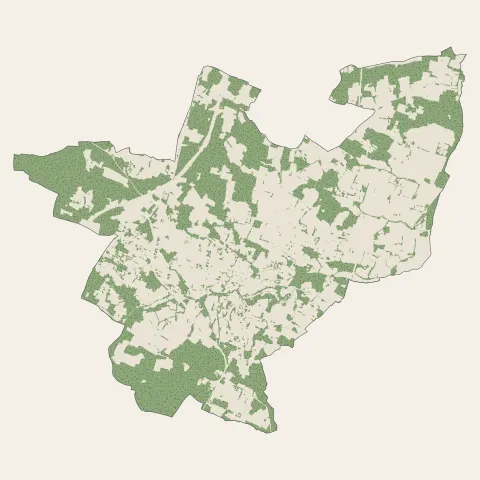 Bazas : bois, forêts et landes