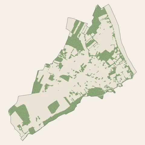 Beautiran : bois, forêts et landes