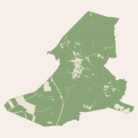 Belin-Béliet : bois, forêts et landes